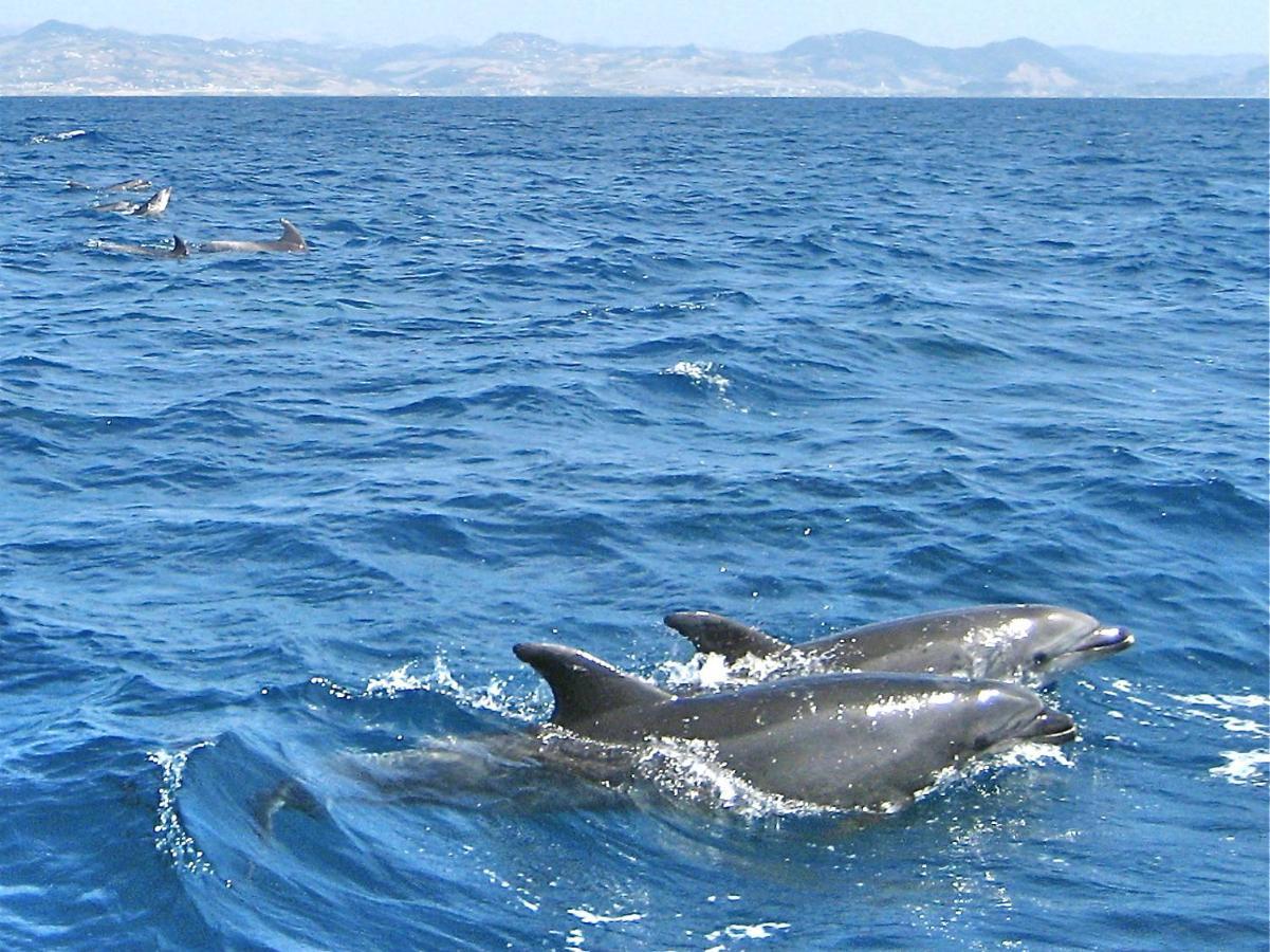 Finca Meerlust - Las Ballenas Лос-Каньос-де-Мека Екстер'єр фото